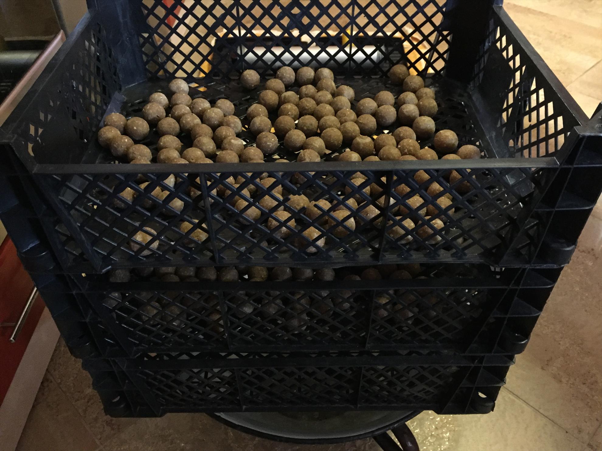 Cetariu 2015 - image11.jpeg